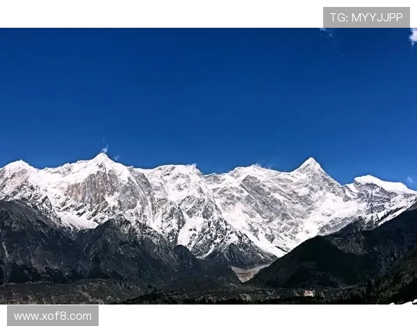 《脊梁》：一部荡气回肠的时代史诗，一部触及灵魂的荧屏巨作